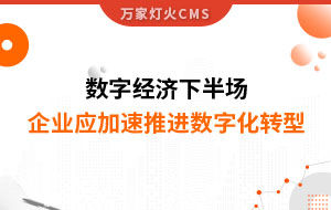 數(shù)字經濟下半場，企業(yè)應加速推進數(shù)字化轉型